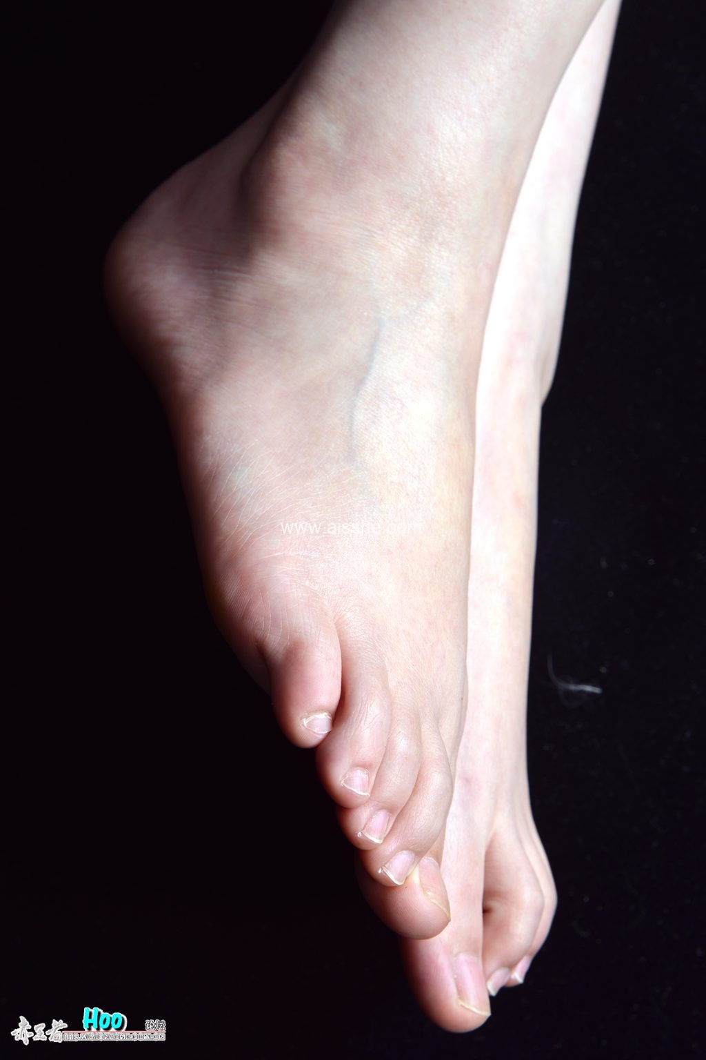 Hoo摄影 No.131 D800超级大图-萍萍