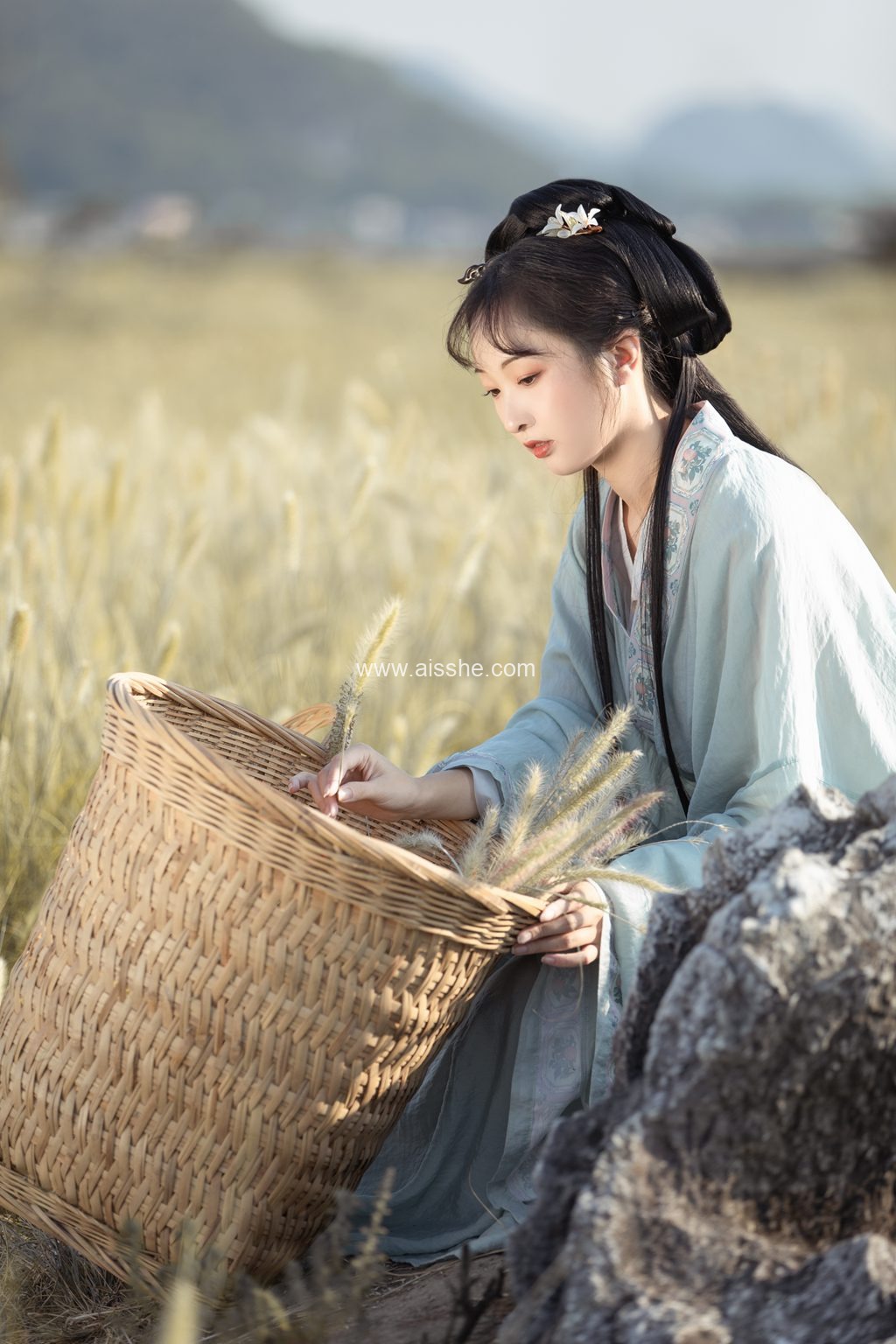 [YITUYU艺图语]2023.03.29 秋风引 丸子有只猫