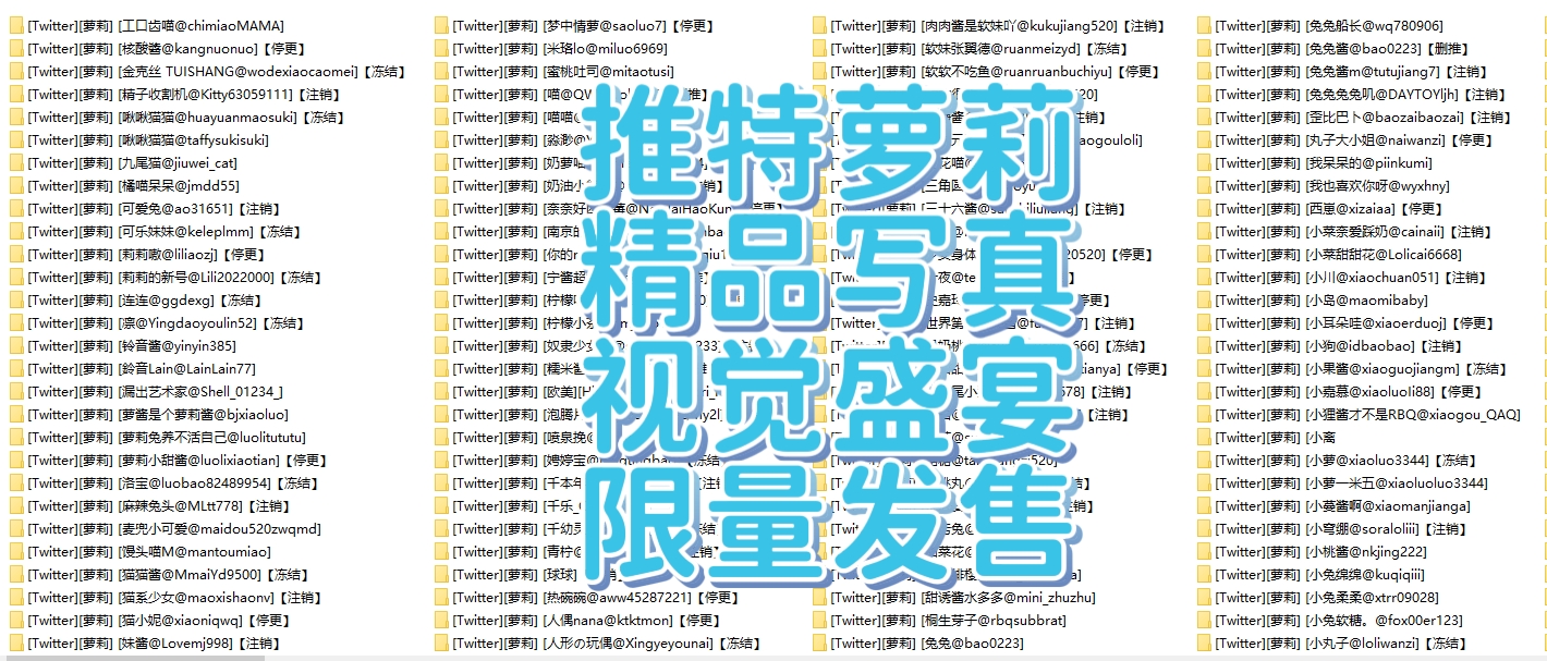 【精品萝莉】推特萝莉写真精品推荐 图片+视频 221套大合集 【含漏31340P-1119V +65GB】